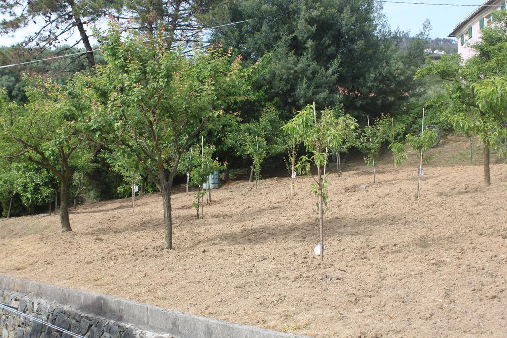 Le Ginestre Apartamento Levanto Quarto foto