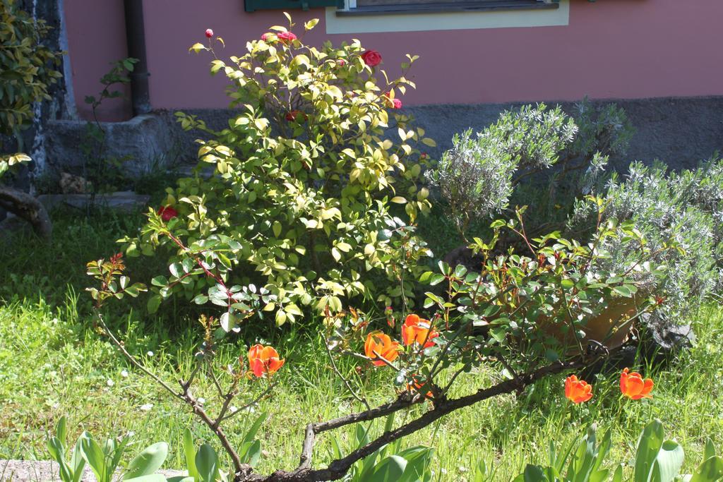 Le Ginestre Apartamento Levanto Quarto foto